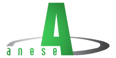 Logo Anese